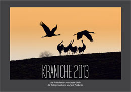 Kranichkalender 2012